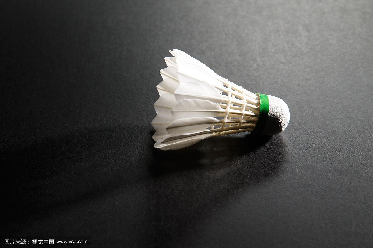 快船队在得 快船队在得