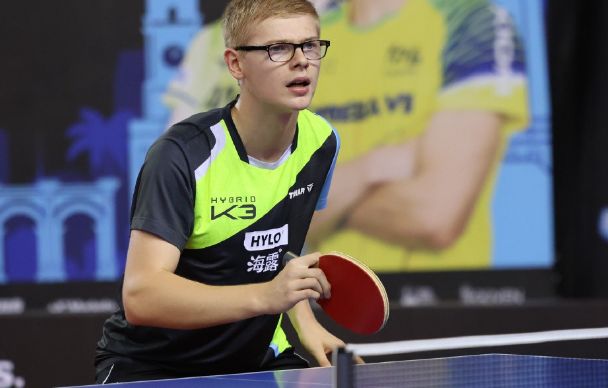 拥有稳定的 拥有稳定的